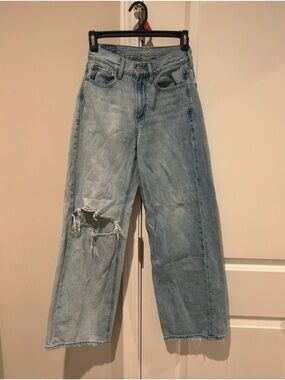 American Eagle Outfitters Light Blue Distressed  Skater Jeans -00Short